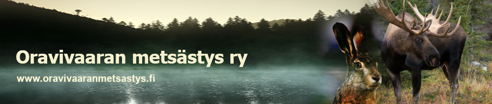 rhy.fi